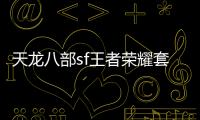 天龍八部sf王者榮耀套裝