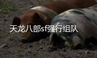 天龍八部sf強行組隊