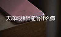 天麻燉豬腦能治什么病