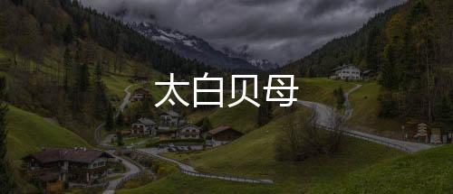 太白貝母