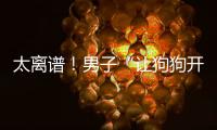 太離譜！男子“讓狗狗開(kāi)特斯拉”，被罰款200元、扣3分