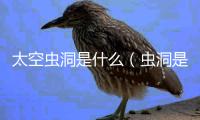 太空蟲洞是什么（蟲洞是什么）