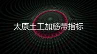 太原土工加筋帶指標
