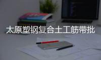 太原塑鋼復合土工筋帶批發價格