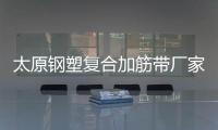 太原鋼塑復合加筋帶廠家采購供應
