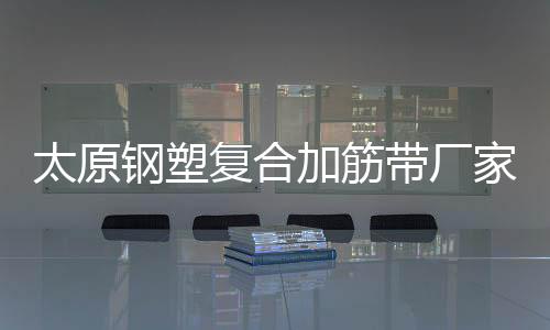 太原鋼塑復合加筋帶廠家采購供應