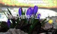 太原hpv接種不止省婦幼，九價疫苗在這些接種點也能預約
