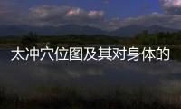 太沖穴位圖及其對身體的益處解析