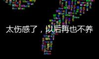 太傷感了，以后再也不養這么聰明的貓了