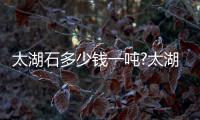 太湖石多少錢一噸?太湖石哪里有賣?（太湖石多少錢一噸）