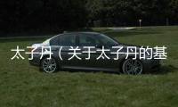 太子丹（關(guān)于太子丹的基本情況說明介紹）