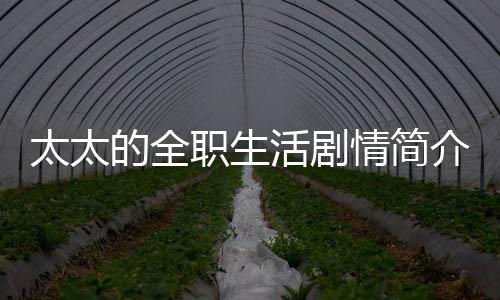 太太的全職生活劇情簡介