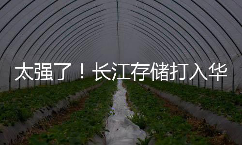 太強了！長江存儲打入華為供應鏈