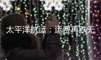 太平洋航運：運費再跌無利可圖