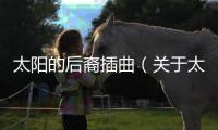 太陽的后裔插曲（關于太陽的后裔插曲的基本情況說明介紹）