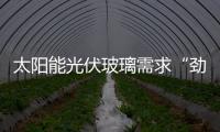 太陽能光伏玻璃需求“勁爆”,市場研究