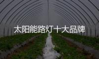 太陽能路燈十大品牌