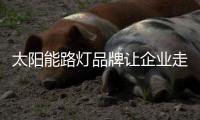 太陽能路燈品牌讓企業走得越來越遠的關鍵