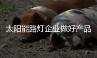 太陽能路燈企業做好產品 堅決打假