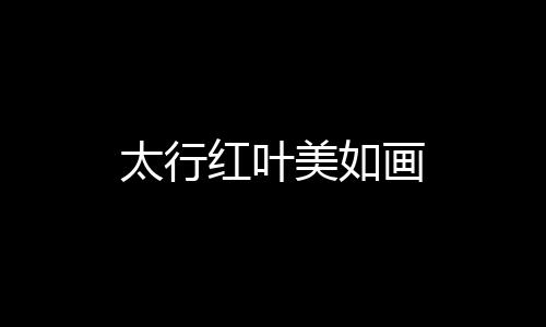 太行紅葉美如畫