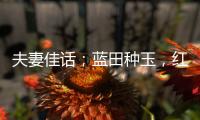 夫妻佳話；藍田種玉，紅葉題詩