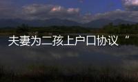 夫妻為二孩上戶口協議“假離婚”  事后丈夫索要大兒子撫養權