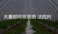 夫妻都同意離婚 法院判不準離這是為什么
