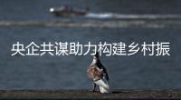 央企共謀助力構建鄉村振興新格局