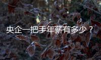 央企一把手年薪有多少？國資委最新披露“工資條”