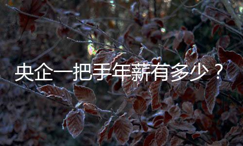 央企一把手年薪有多少？國資委最新披露“工資條”