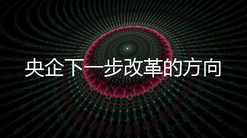 央企下一步改革的方向