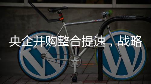 央企并購整合提速，戰(zhàn)略性新興產(chǎn)業(yè)或成重點(diǎn)領(lǐng)域｜2024中國經(jīng)濟(jì)年報(bào)