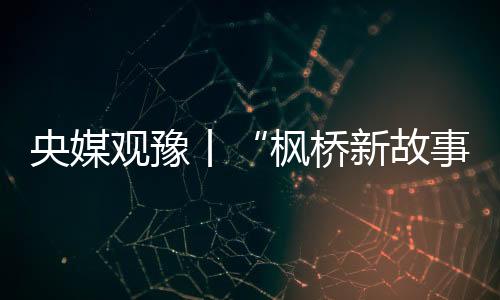 央媒觀豫丨“楓橋新故事”系列紀實：有事就找“老娘舅”