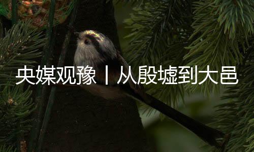 央媒觀豫丨從殷墟到大邑商 考古新發(fā)現(xiàn)持續(xù)揭示中華文明密碼
