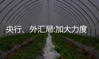 央行、外匯局:加大力度助推“保交樓、穩(wěn)民生”工作