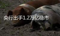 央行出手1.2萬億穩市場!降息最快或出現在2月中下旬