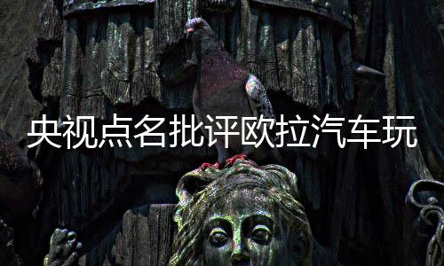 央視點名批評歐拉汽車玩文字游戲 App強制升級隱匿高通信息