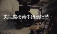 央視揭秘黃牛搶票細節(jié)：一面“手機墻”幫一人搶票