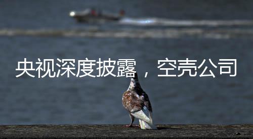 央視深度披露，空殼公司虛開發票與藥企洗錢