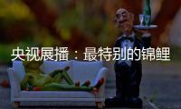 央視展播：最特別的錦鯉——佳得福金門窗
