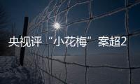 央視評“小花梅”案超20年仍追訴 這是屬于小花梅的正義!
