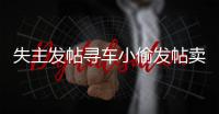 失主發帖尋車小偷發帖賣車 買家助警方人贓俱獲