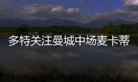多特關注曼城中場麥卡蒂 轉會費預計2300萬歐