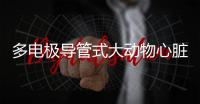 多電極導(dǎo)管式大動(dòng)物心臟血流動(dòng)力檢測(cè)系統(tǒng)中標(biāo)結(jié)果公告