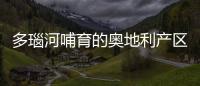 多瑙河哺育的奧地利產區