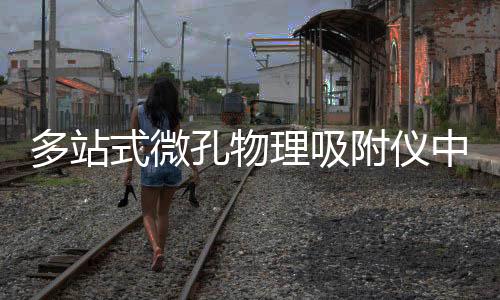 多站式微孔物理吸附儀中標結果公告