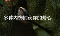 多種內飾捕獲你的芳心 雷諾全新Twingo亮相