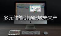 多元儲能引領(lǐng)肥城未來產(chǎn)業(yè)新方向