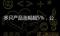 多只產(chǎn)品漲幅超5%，公募REITs又香了？
