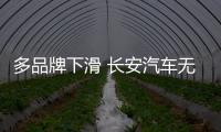 多品牌下滑 長安汽車無望完成目標